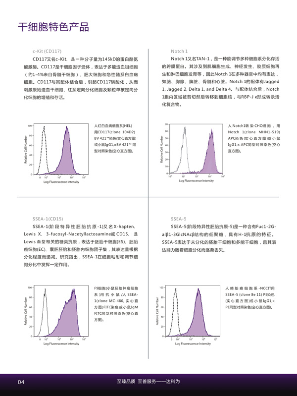 干细胞