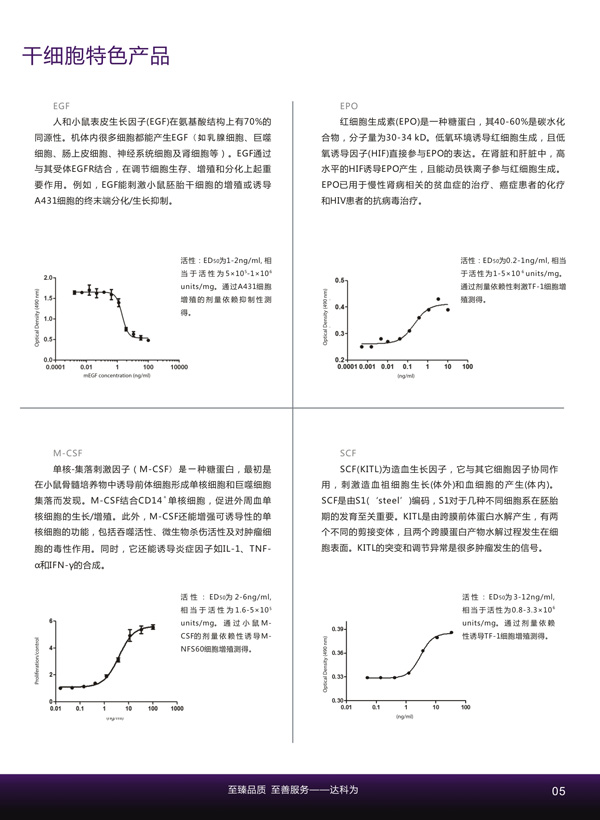 干细胞